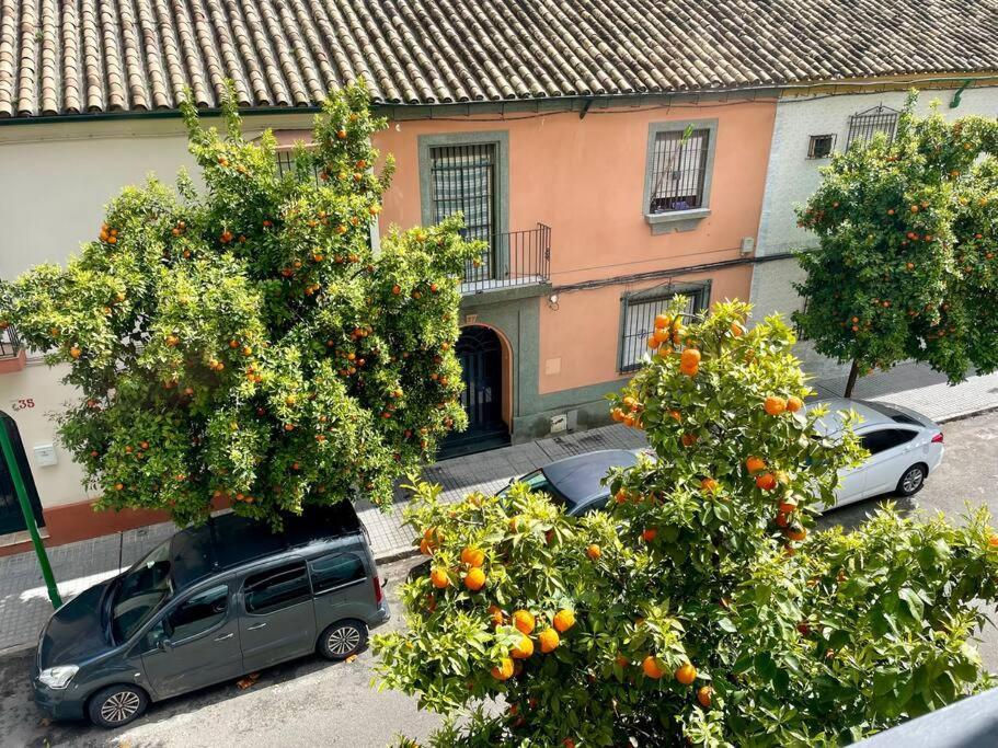 El Balcon De Los Naranjos Córdoba Exterior foto